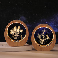 3D Internal Engraved Crystal Night Light with Wooden Base