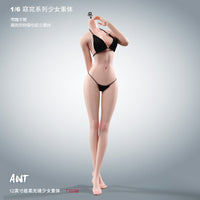 现货ANT 1/6兵人女素体T303 T303P窈窕全钢骨包胶 关节可动女素体