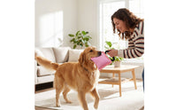 Dog Tug Toy with Handle Compact Dog Toy with Handle Bite Pillow for Dogs