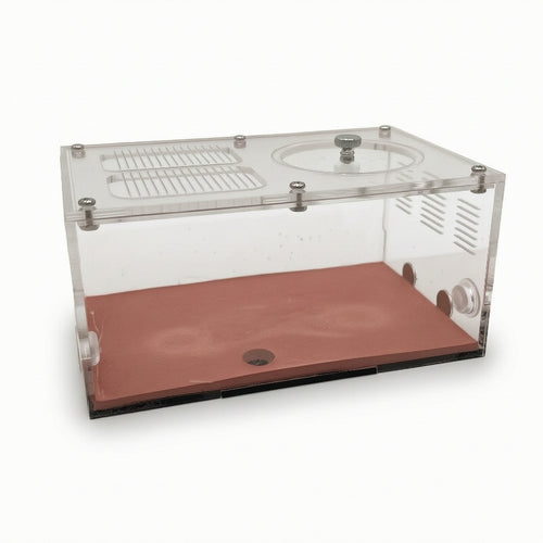 Modular Formicarium Lucid Insectarium Habitat Module Transparente Enclosure for Colony Expansion