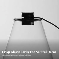 With LED Light Micro Landscape Bottle High Clarity Lichen Terrarium Bottle Elegant Design for Hobbyists, Tabletop, Living Room, Bookshelf