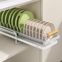 Space-Saving Dish Drainer Rack, Carbon Steel Pull-Out Dish Rack for Limited Counter Space, Anti-Slip Cabinet Dish Drainer