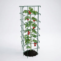 Garden Trellis for Climbing Vines, Reinforced Square Tomato Cage and Plant Supports for Outdoor Plants, Metal Plant Support for Indoor Plants