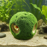 Resin Lichen Skull Ornament Provides Shelter Aquarium Skull Cave for Terrarium