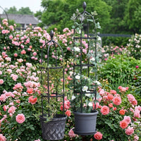 Garden Decor Iron Art Garden Trellis for Climbing Plants, Heavy Duty Plant Support Garden Obelisk, European Style Tomato Cage for Potted Plants