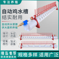 家禽自动饮水器鸡用饮水槽喂水喝水鸭子鹅养殖设备鸡厂普拉松水壶