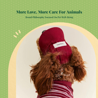 Soft Cotton Pet Sport Hat, Character, Everyday Wear