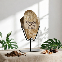 Turtle Shell on Stand Tabletop Oracle Bone Reproduction Aged for Study