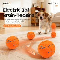 ETPU Smart Electric Dog Ball Waterproof Chew Toy for Pets