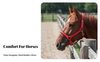 Horse Lead Halter Rust-Resistant Hardware Adjustable Nylon Horse Halter Reinforced Stitching Anti-Rubbing Design for Leading