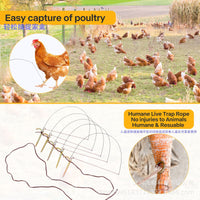 Stainless Steel Poultry Leg Bands for Chickens, Pheasants, and Ducks