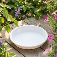 Plant Saucers and Drip Tray for Outdoor Plants, Resin Plant Pot Stand and Plant Trays, Assorted Colors Simple Plant Pot Saucer Home Decor Base