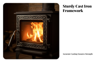 Cast Iron Fireplace Door, Glass Panel, Black Handle, Grill