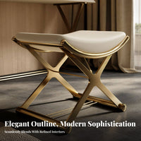 Vanity Bench Light Luxury design airframeframe Base Pouf Soft paded Top for Entryway
