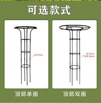 伞形植物花架月季金银花爬藤架铁线莲阳台户外庭院固定支撑杆