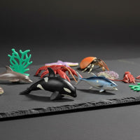 Realistic Ocean Creature Figures Educational Marine Life Toy Set Solid Plastic