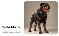 Studded Dog Heavy Duty Large Breed Dog Rustproof Hardware Pet Supplies for Hunters, Daily Wear, Outdoor Walks, Training