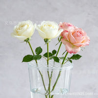 家居可重复使用的硅胶插花网格Silicone Flower Arrangement Grid