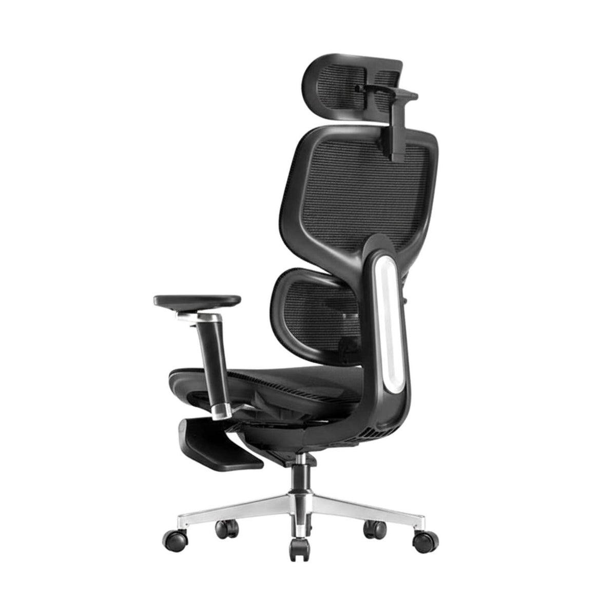 Adjustable Ergonomic Chair Support for Study Room, Remote Workers, Adults