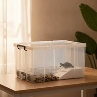 Transparent Turtle Tank with Lid and Drainage