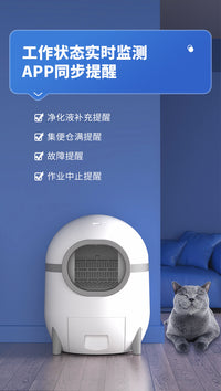 Automatic Enclosed Cat Litter Box, Large Space, Odor Control, Meow Star Kid Brand, Australia Plug