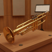 Standard Bb Trumpet Gold-Plated Trumpet with Hard Case and Mouthpiece Golden Polished for Beginners