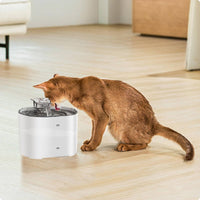 Rechargeable Kitty Fountain Easy to Clean Pet Care Item Large Capacity