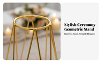 Elegant Design Air Plant Display Holder Minimalist Design Geometric Flower Holder Long-Lasting Iron Metal Floral Display Rack Multipurpose for Wedding Planners, Party Hosts, Home Decor, Reception Hall, Living Room, Inaugural Event