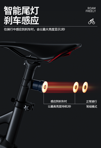 Ford福特自行车尾灯夜骑灯强光智能感应山地车公路车防雨骑行装备