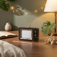Retro TV Ornament Distressed Finish Iron TV Decoration Brown and Black for Shelf