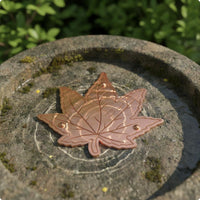 Bird Bath Disk Included Birdbath Purification Disc Easy to Place