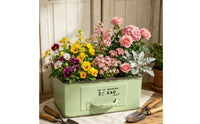 Rectangular Drawer Planter Multi-Use Desktop Succulent Planter Vintage Design