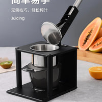 Stainless Steel Manual Fruit Juicer with Large Capacity, Multi-functional