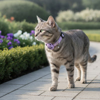 Waterproof Cat Collar with Tracker Bluetooth Cat Tracker No Monthly Fee Pet Tracking Collar Long Battery Life for Cats, Kittens, Outdoor, Travel