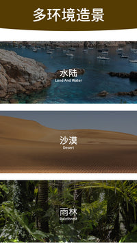 爬虫饲养箱装饰组合摆件沙漠场景微场景仿真植物仙人掌模型无刺耐