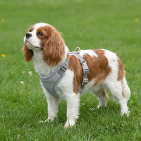 Vest Style Harness for Small Dogs and Cats, Polyester Dog Vest Harness, Adjustable Puppy Harness for Outdoor Walks