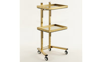 2-Tier Salon Trolley Mobile Beauty Trolley Space-Saving Salon Tray Cart for Hairstylists, Hair Salons