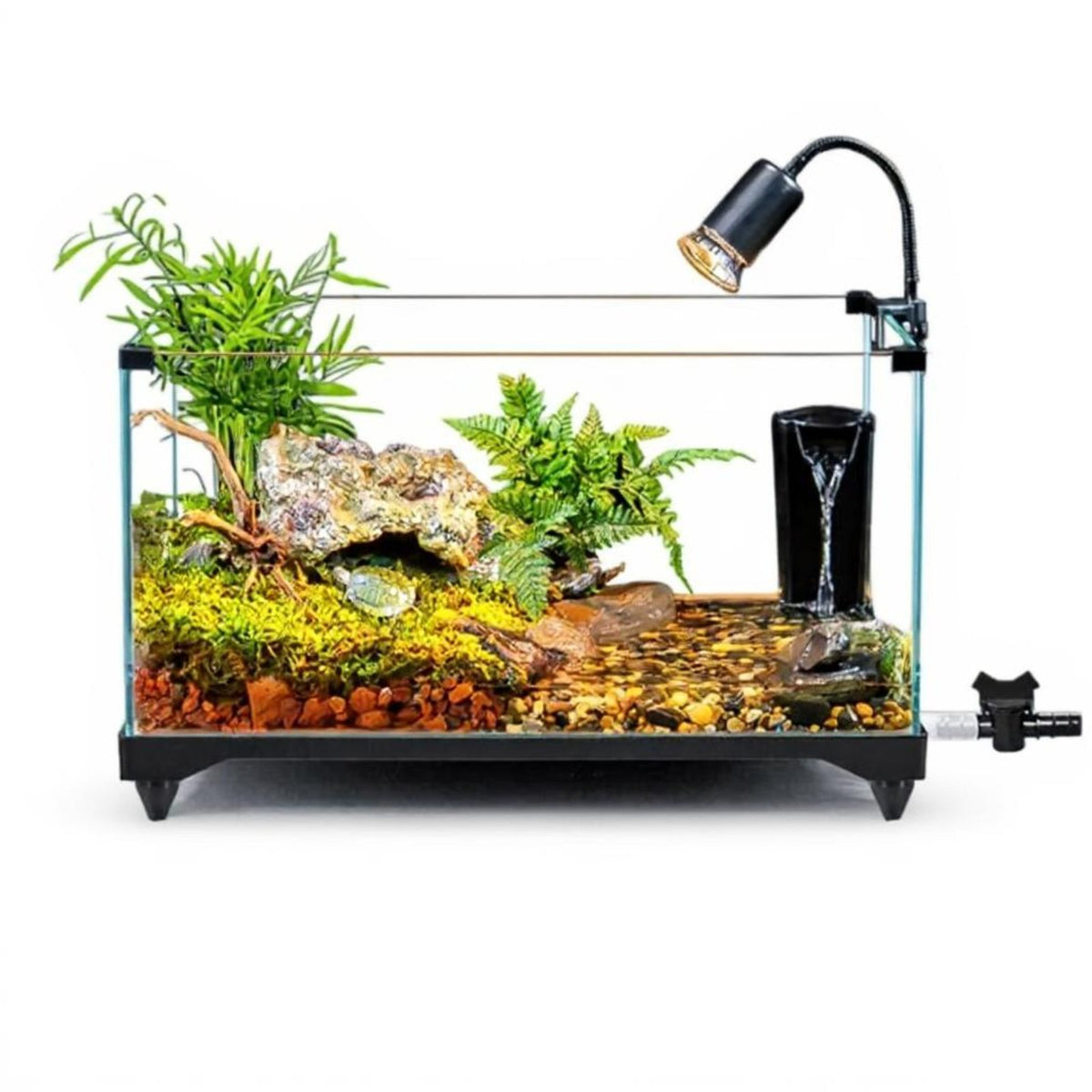 Super Clear Glass Turtle Terrarium with Basking Deck