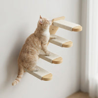 Wall-Mounted Cat Bed All Seasons with Enclosed House and Hammock, Solid Wood Wall Mounted Cat Furniture, Climbing Shelf for Indoor Cat Climbing Wall