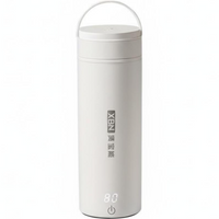 Mini electric water boiler, temp control