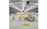 Chicken Water Nipple Long Service Life Poultry Nipple Drinker Easy Installation