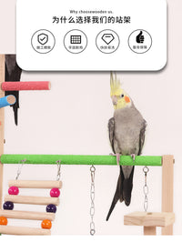 Parrot Frosted Perch with Ladder, Swing, and Chew Toy for Climbing