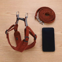 Vest Style Harness and Leash Set for Outdoor Walking, Suede Dog Vest Harness for Small Medium Dogs and Cats, Non-Retractable Dog Walking Leash