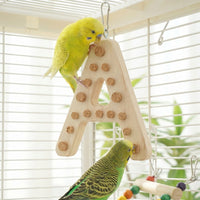 Parrot Toys and Bird Perch Set, Wooden Blocks Foraging Toys for Birds, Enrichment Parrot Cage Accessories for African Grey and Cockatiel