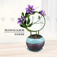 山乌龟绿植圆形花架铁线莲爬藤架绿萝攀爬架子桌面植物花卉造型架