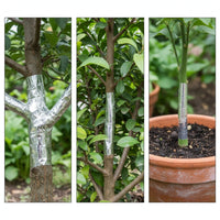 2 Pieces Shiny Tree Wrap with Adhesive Backing Smooth Tree Trunk Wrap Sticky Foil Tape with Adhesive Tacky for Orchards