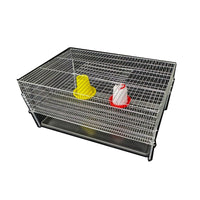 Galvanized Double-Door Wire Cage for Quail, Partridge, and Quail Chicks