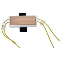 Forearm Venipuncture Training Model for Injection, Blood Transfusion, and Blood Draw