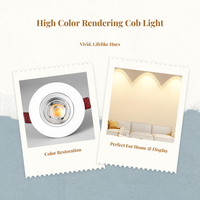 Adjustable anti-glare COB LED washer