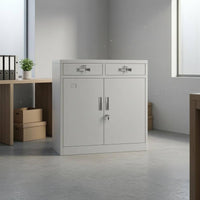 Lockable Filing Cabinet Partition Board Double-Door Filing Cabinet Compact